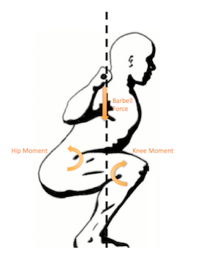The Mechanical Loading Effect of Squatting With Long and Short&nbsp;Femurs